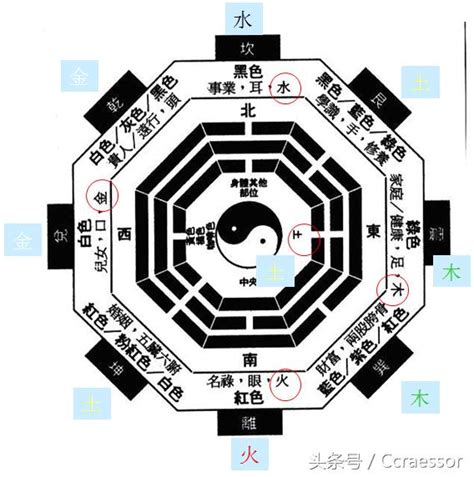 若五行|若